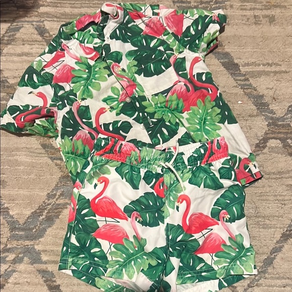 Janie & Jack Boys Tropical Flamingo Shirt and Matching Swim Shorts - Picture 1 of 11